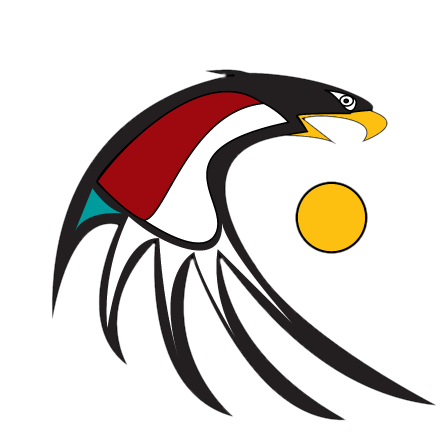 Eaglesun Systems, Tulsa OK, tech solutions for Native American tribes